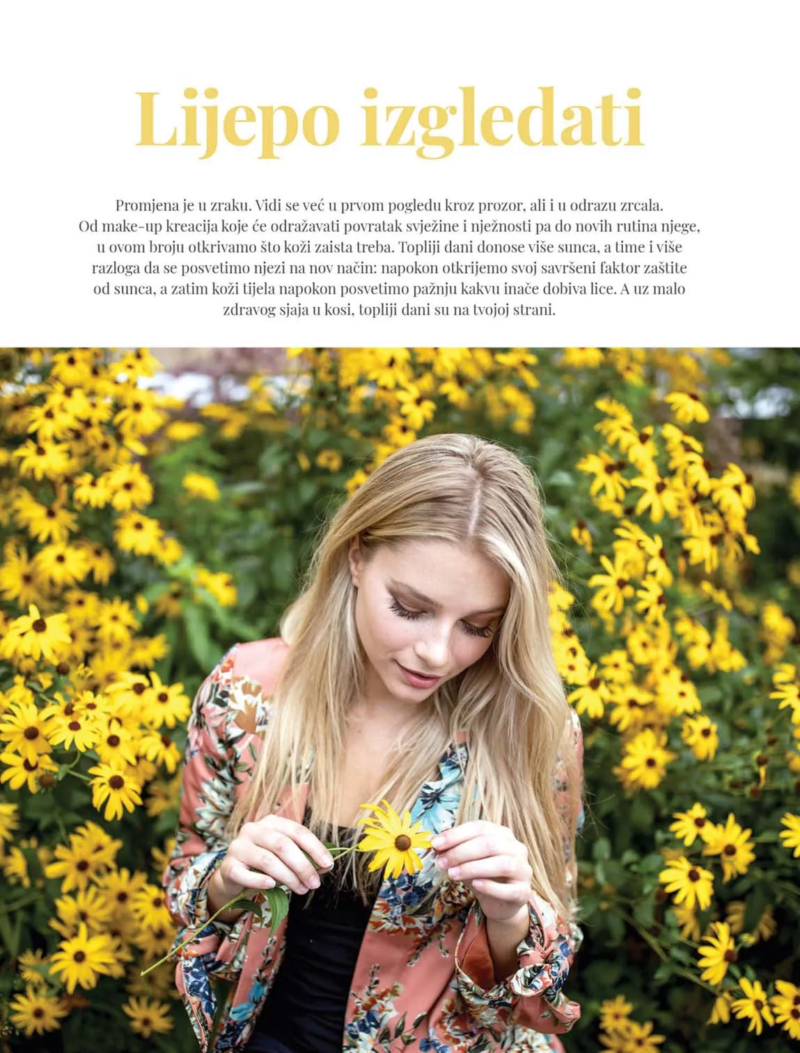 katalog Bipa Magazin