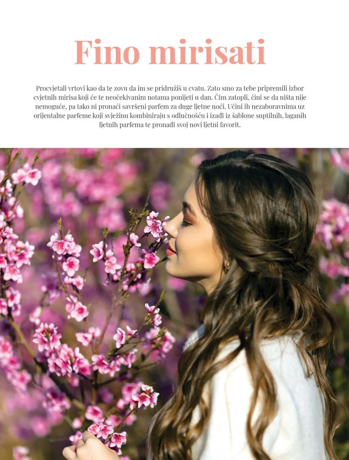 katalog Bipa Magazin