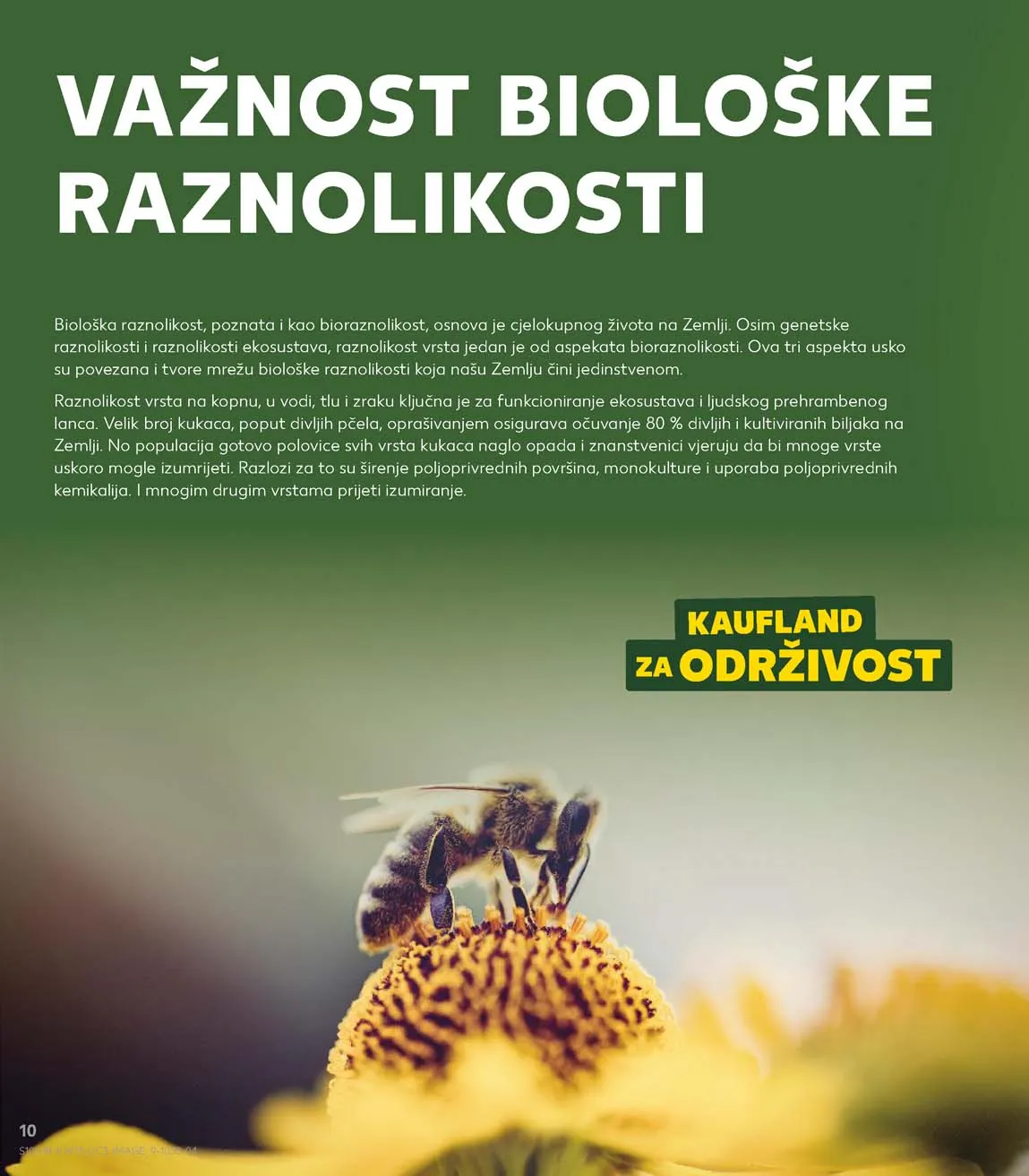 Katalog Kaufland sniženja