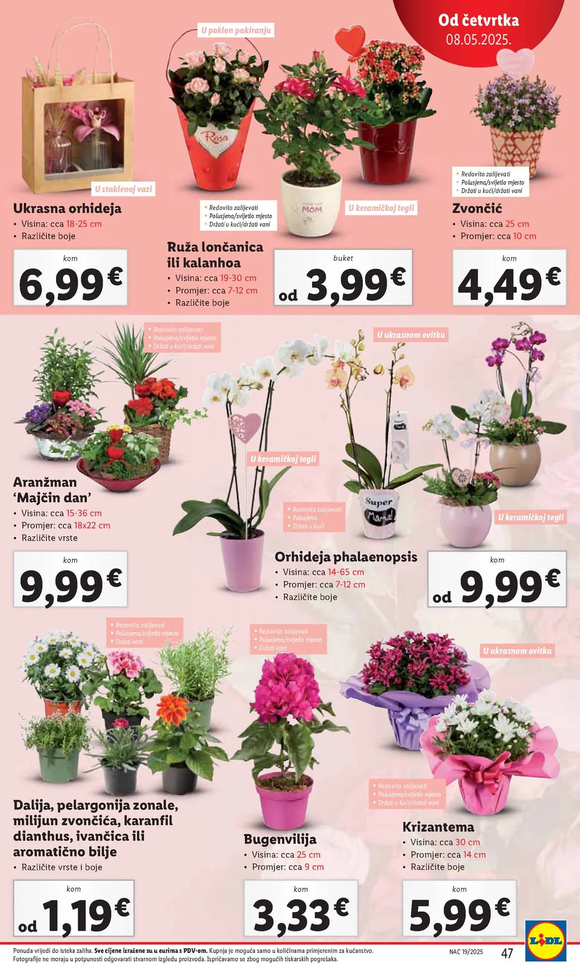 Katalog Lidl kataloška akcija