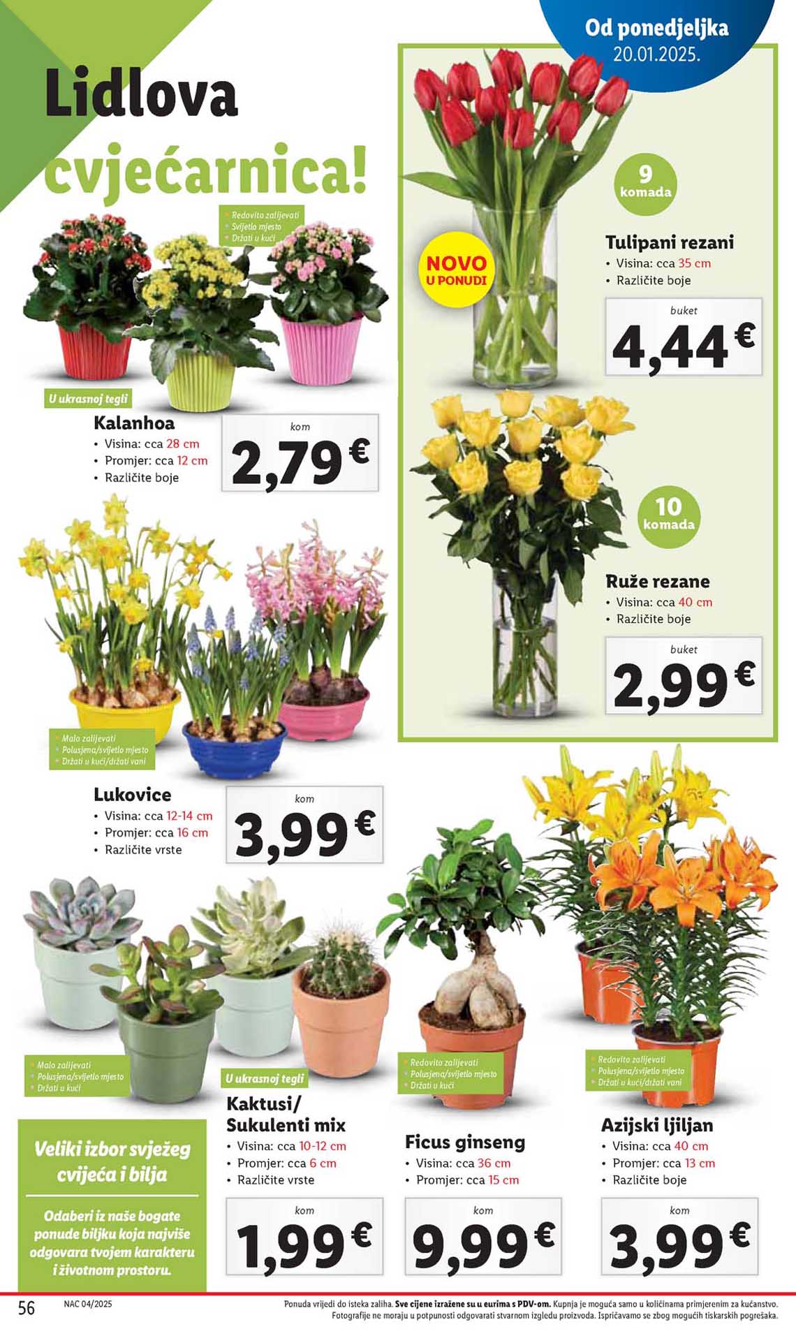 Katalog Lidl kataloška akcija