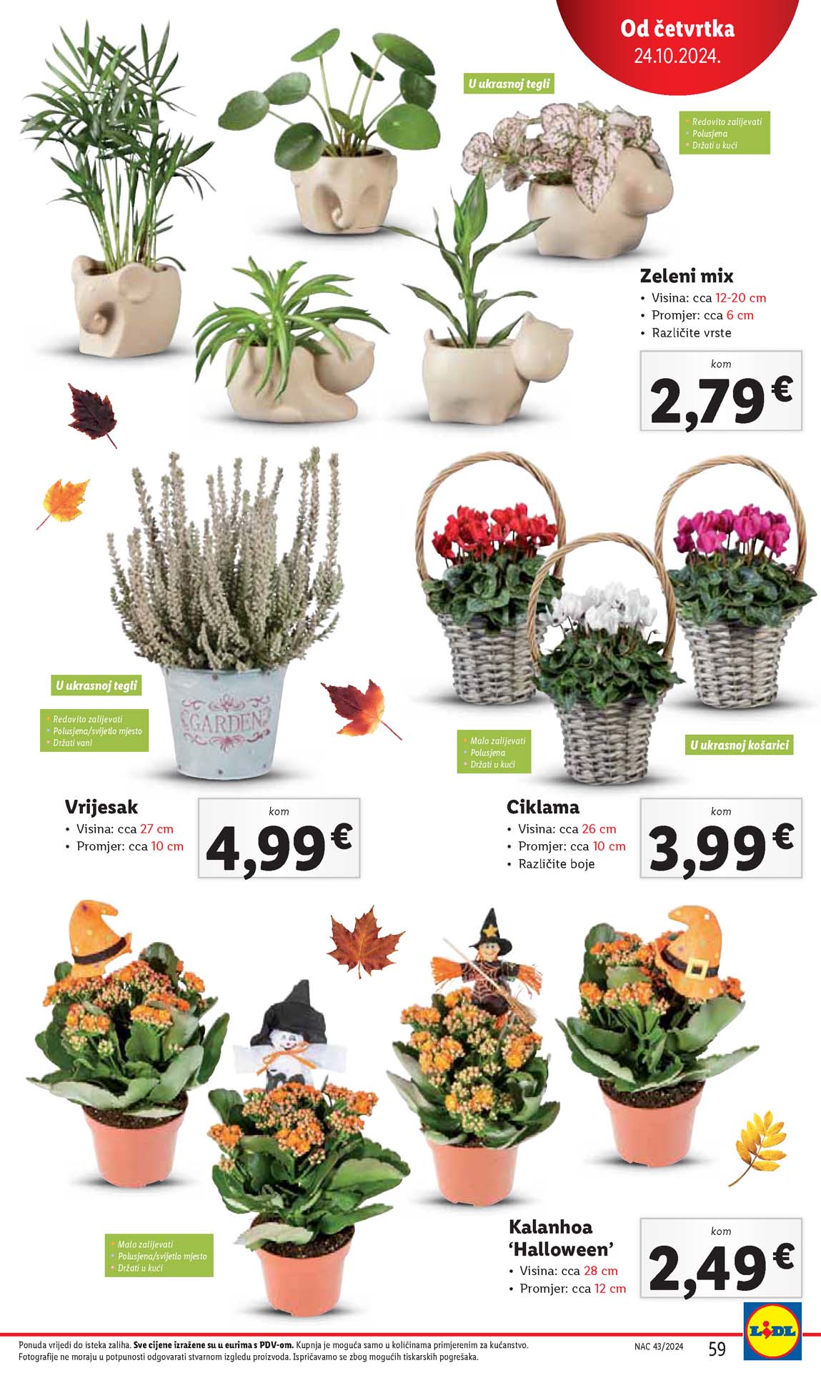 LIDL SNIZENJE SNIZENJA  KATALOG AKCIJA